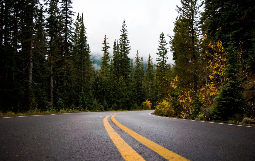 Image of a winding road through a forest