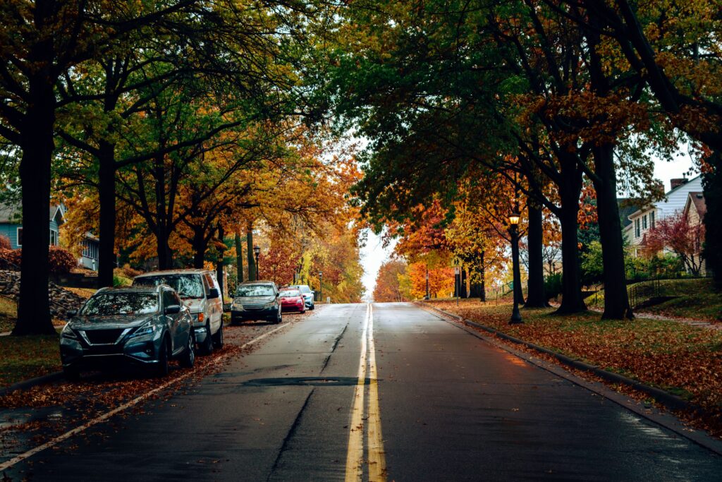 Local street in autumn with cars parked on the road and leaves turning colors